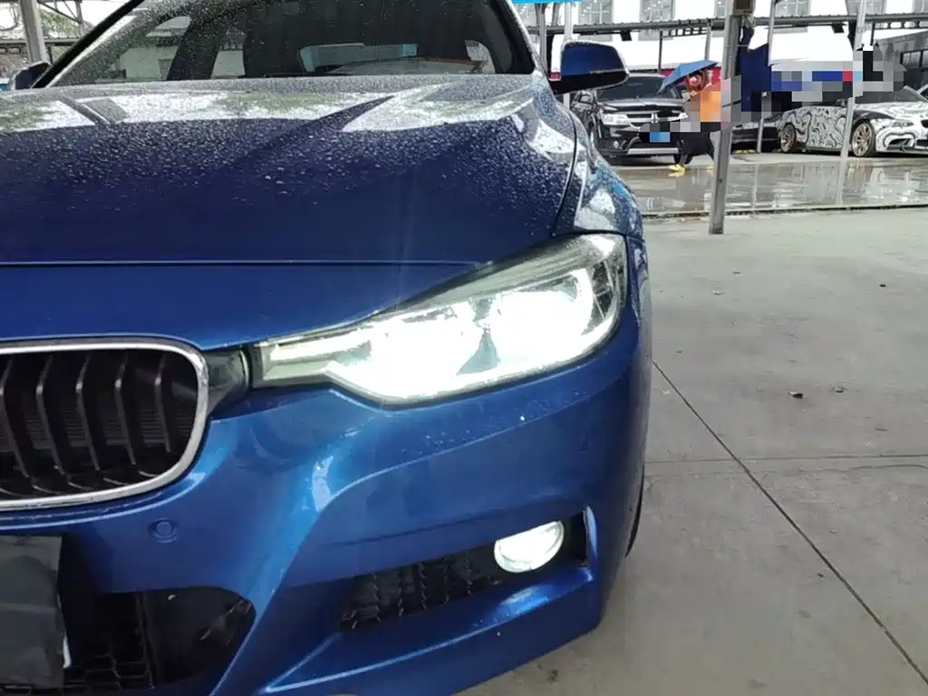 BMW 3 Series 2018 320Li Leading M Sport Package фото 24