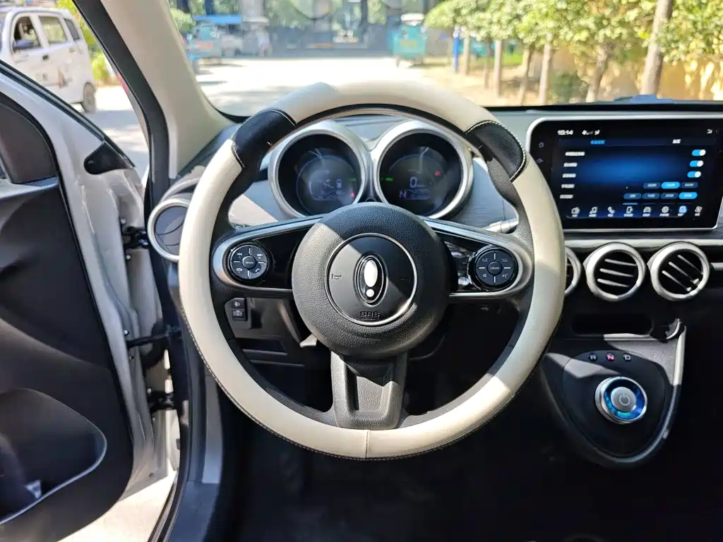 Ora Black Cat 2022 2022 Facelift 301km Pet Edition LFP Version