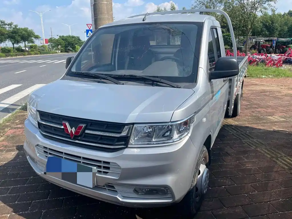 Wuling Motors Wuling Rongguang New Truck 2023 2023 2.0L Single Cab Dual Rear Wheel Comfort LJM20B