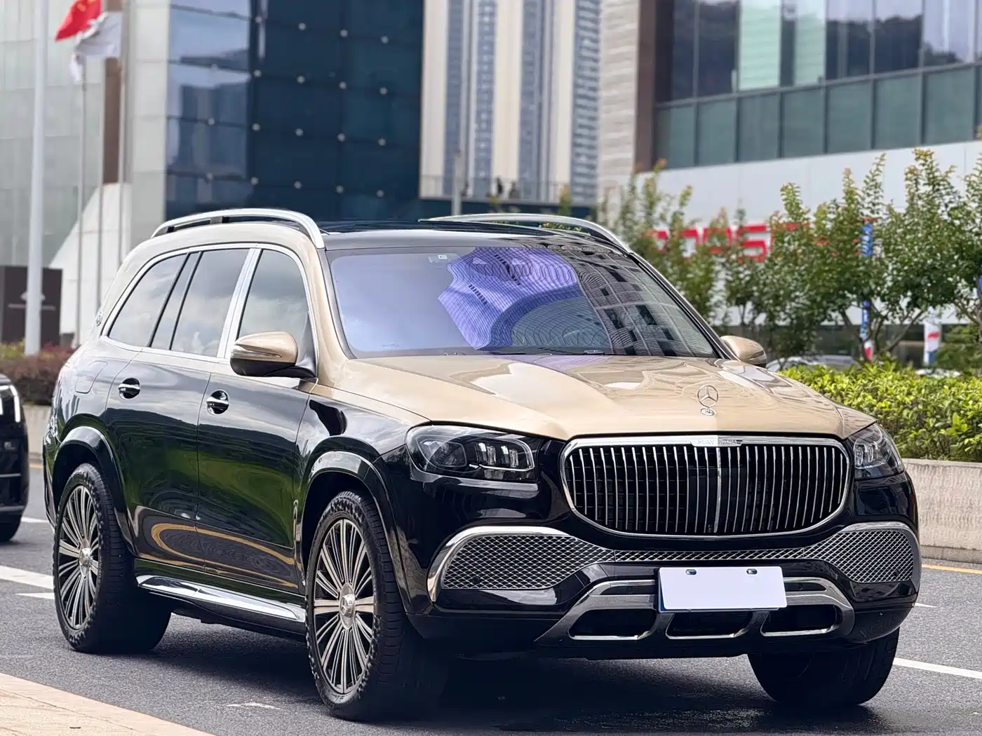 Mercedes-Benz Maybach GLS 2022 GLS 480 4MATIC фото 4
