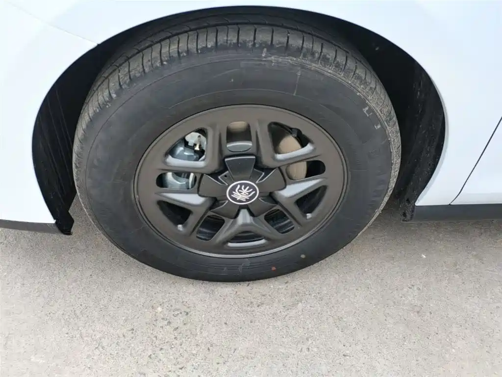 BYD Qin PLUS 2025 DM-i Smart Drive 55KM Leader фото 23