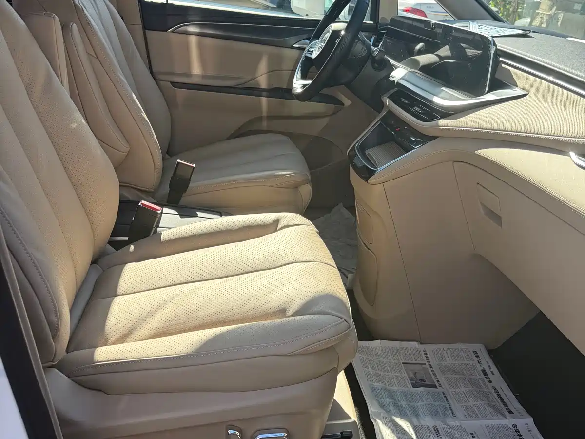 Buick GL8 2025 Land Business Class Comfort DG Edition фото 8