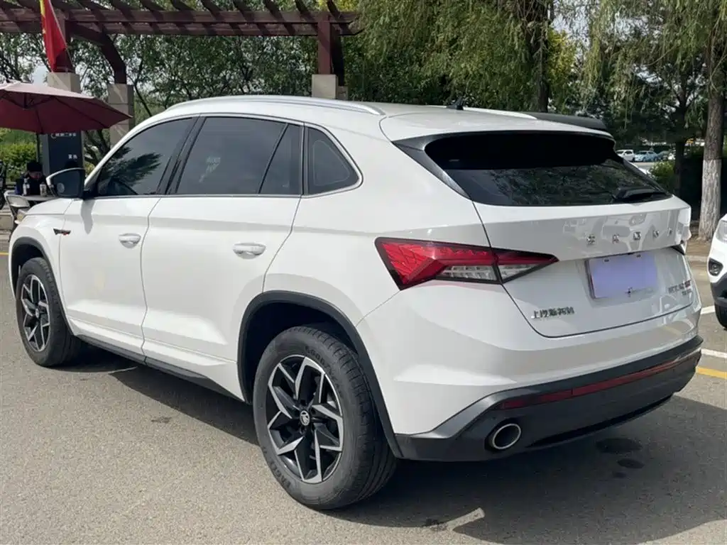 Škoda Kodiaq GT 2019 TSI330 2WD Comfort Edition China VI фото 9