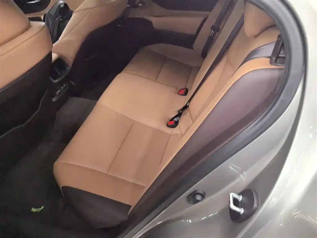 Lexus ES 2020 200 Luxury фото 13