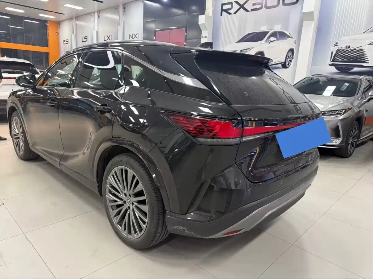 Photo 8 - Lexus RX