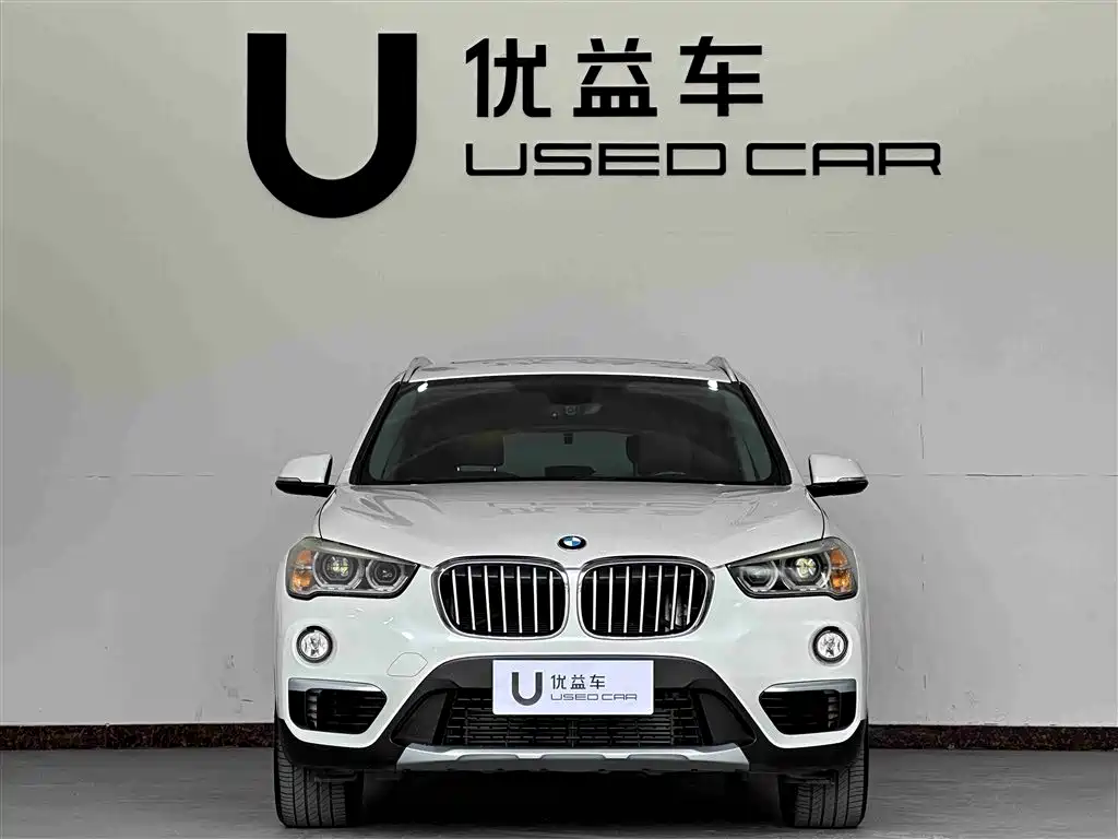 BMW X1 2018 xDrive20Li Premium Model фото 3