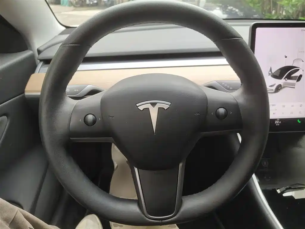 TESLA MODEL 3 (IMPORTED)