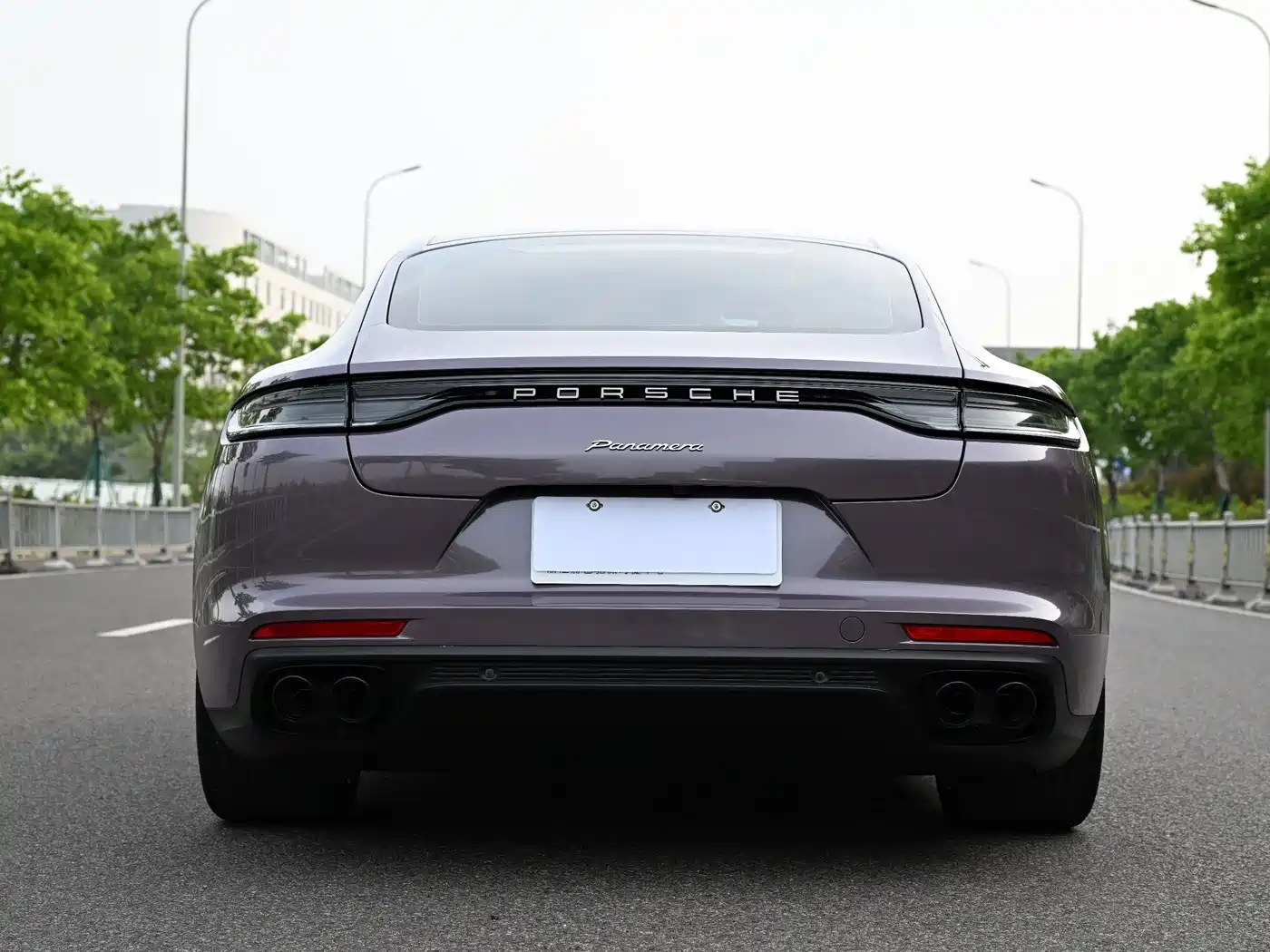 Porsche Panamera 2019 Panamera 2.9T фото 15
