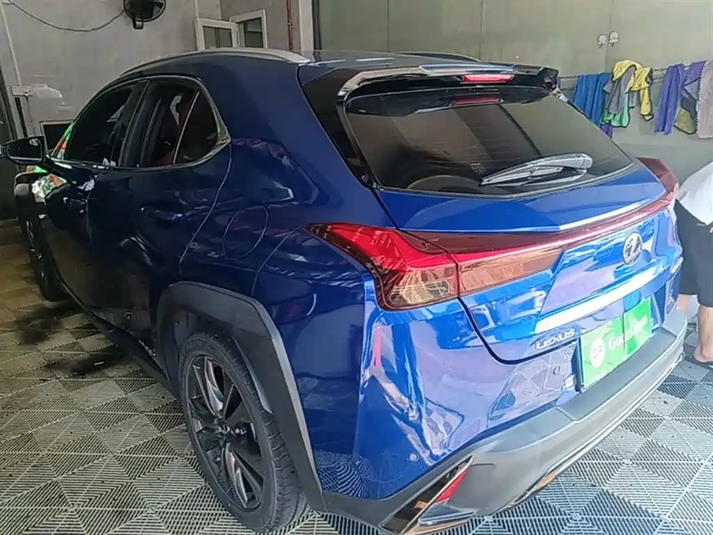 Lexus UX 2019 260h F SPORT Edition China VI фото 5