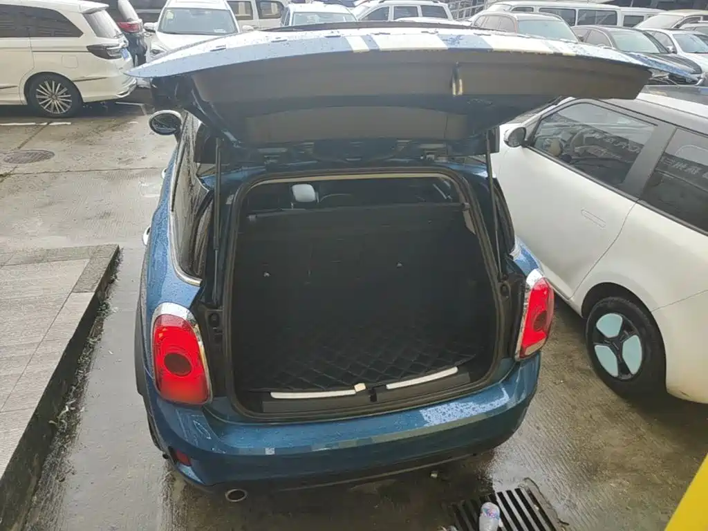 صورة 19 - MINI COUNTRYMAN