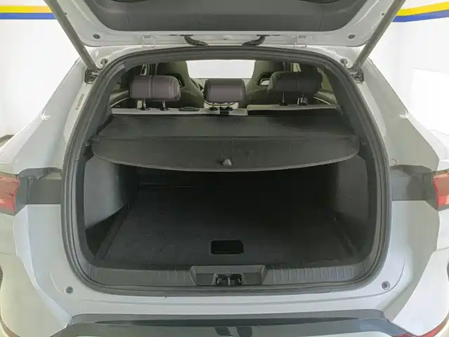 BYD Song PLUS PHEV 2025 DM-i 112KM Honor — фото 4