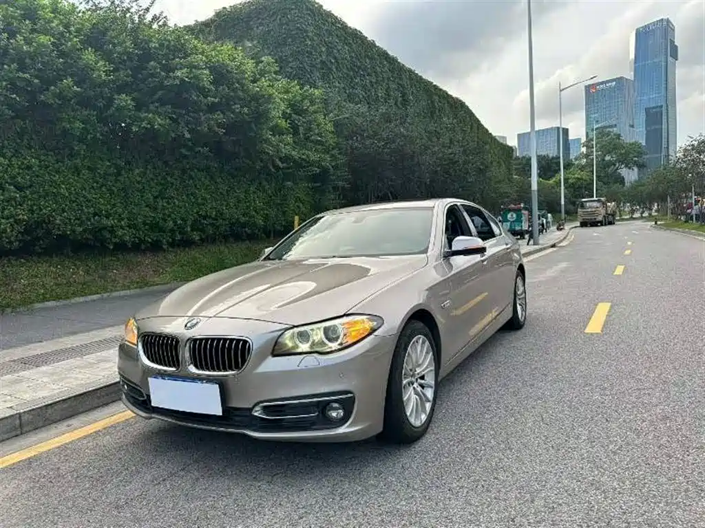 BMW 5 Series 2014 525Li Luxury Design Package