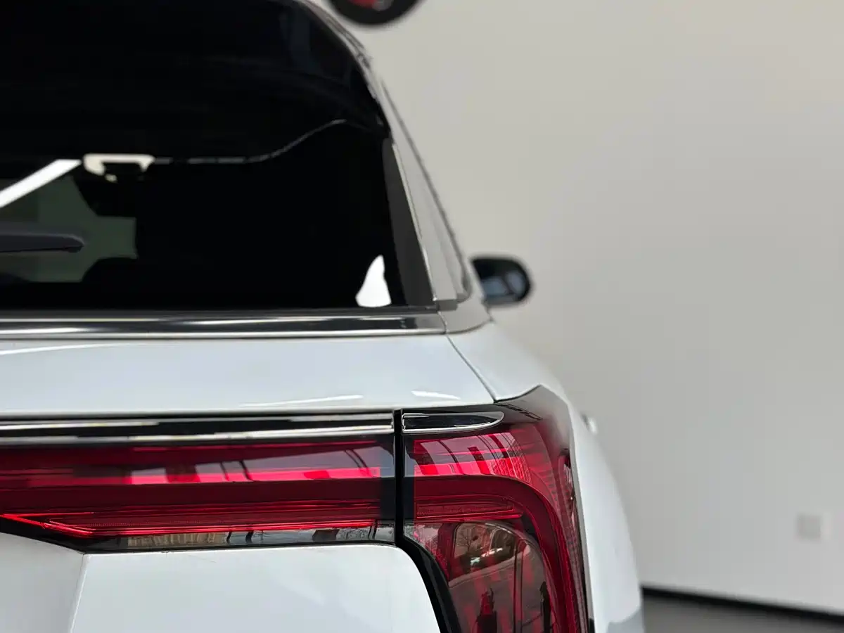 Hongqi E-HS9 2022 690km Qi Xiang Edition (6-seater) фото 21