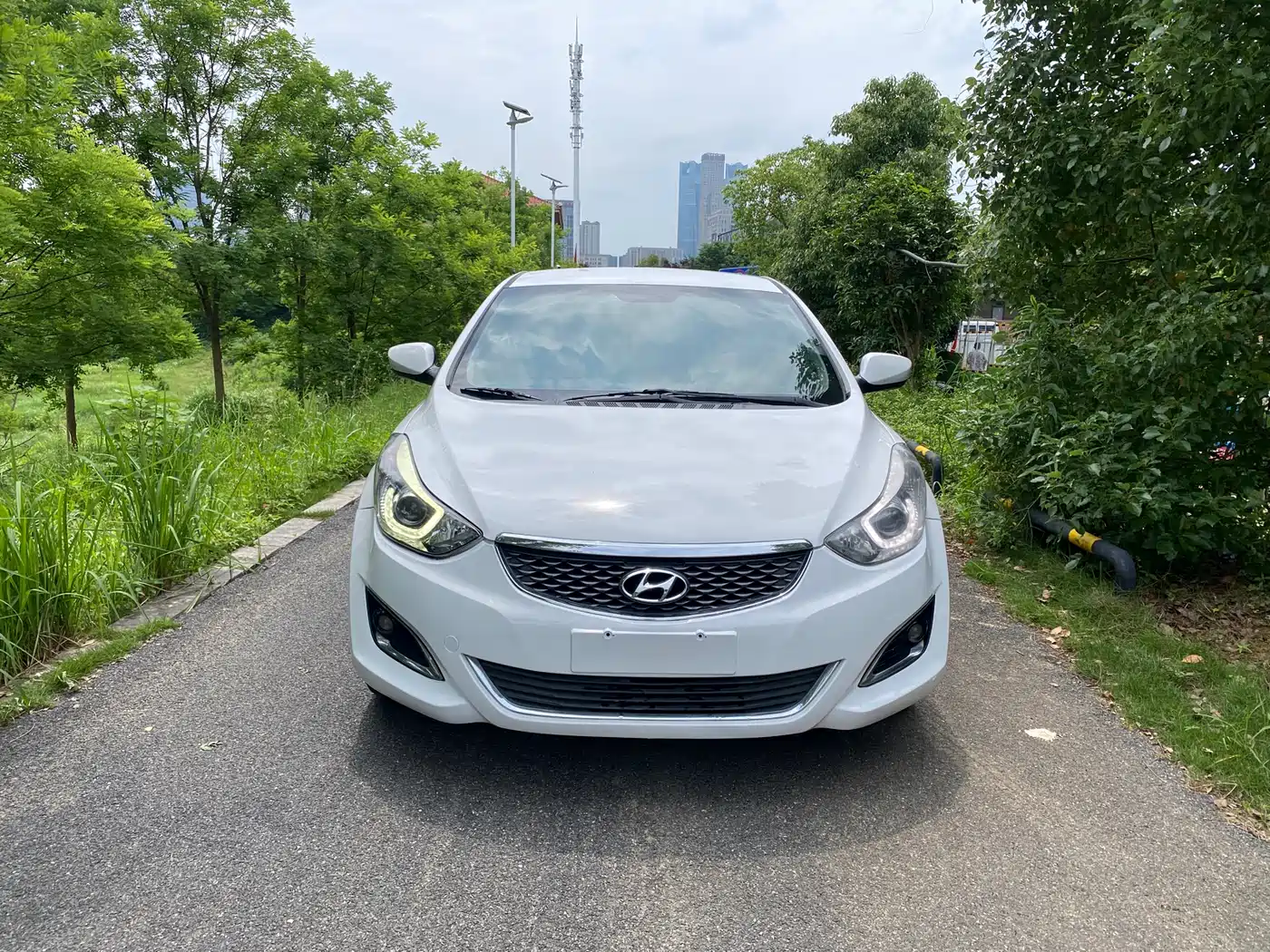 HYUNDAI LANGDONG
