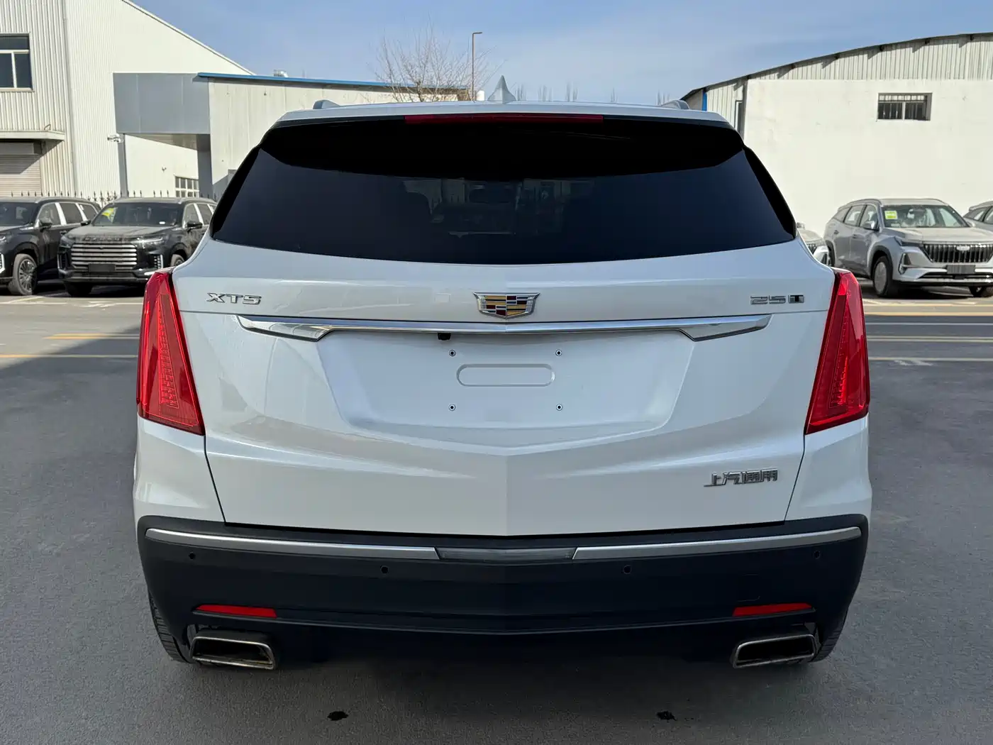Cadillac XT5 2018 25T Luxury фото 8