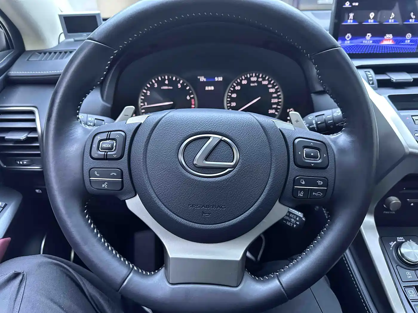 LEXUS NX