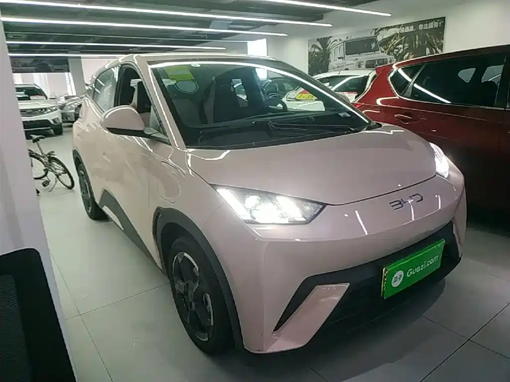 BYD Seagull 2024 Glory Edition 305km Freedom Edition фото 4