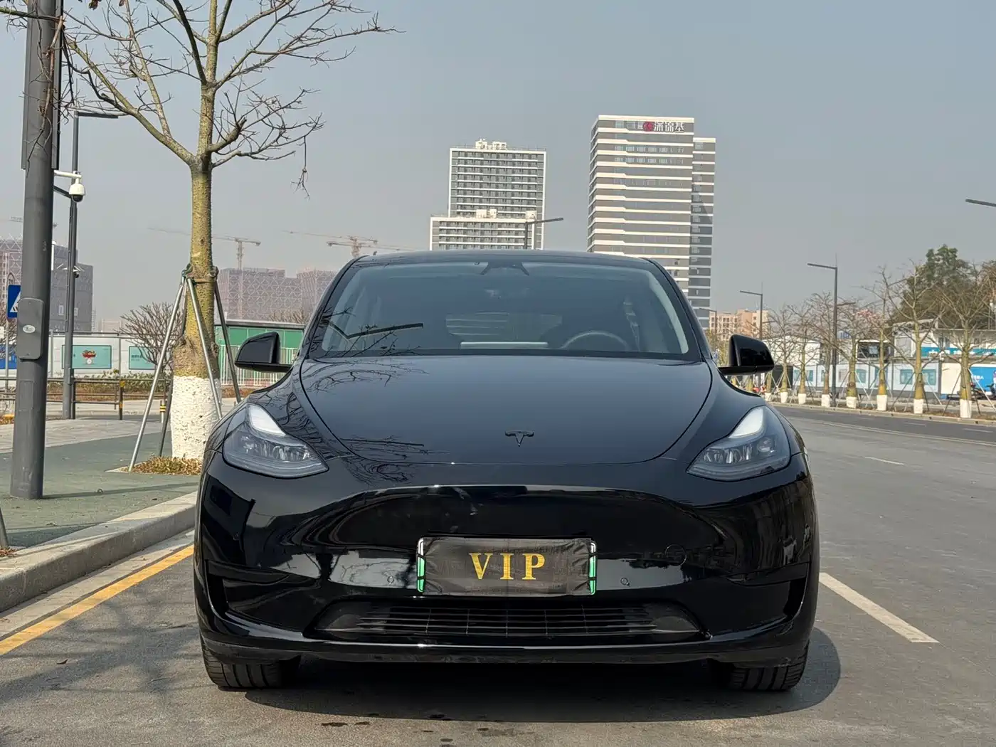 TESLA MODEL Y