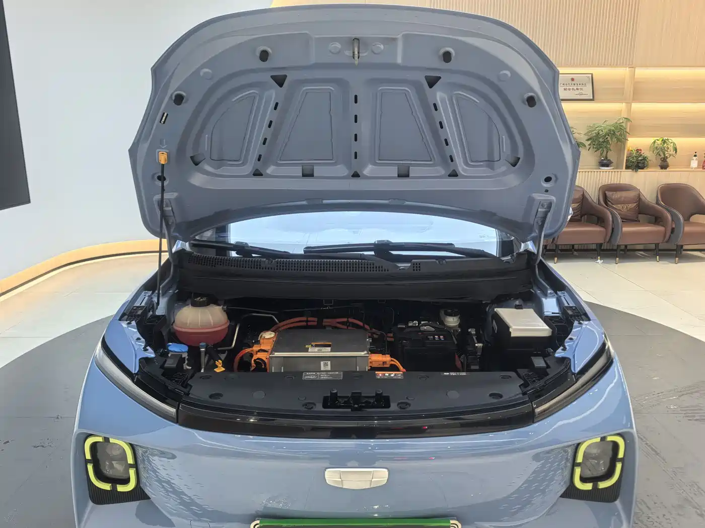 Geely Geometry E Firefly 2023 2022 320KM Well-behaved Tiger 4-seater