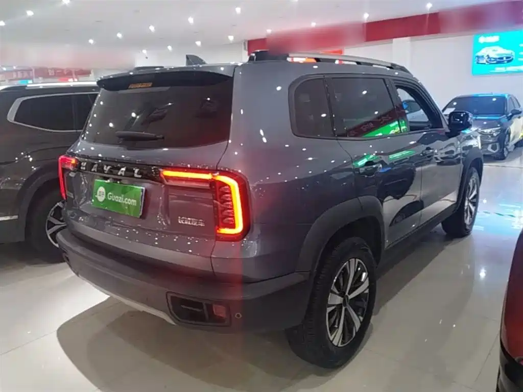 Haval Big Dog 2021 1.5T DCT 2WD Labrador Edition фото 7