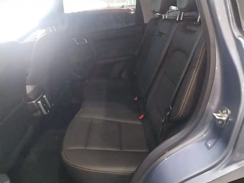 Haval Big Dog 2021 1.5T DCT 2WD Labrador Edition фото 17