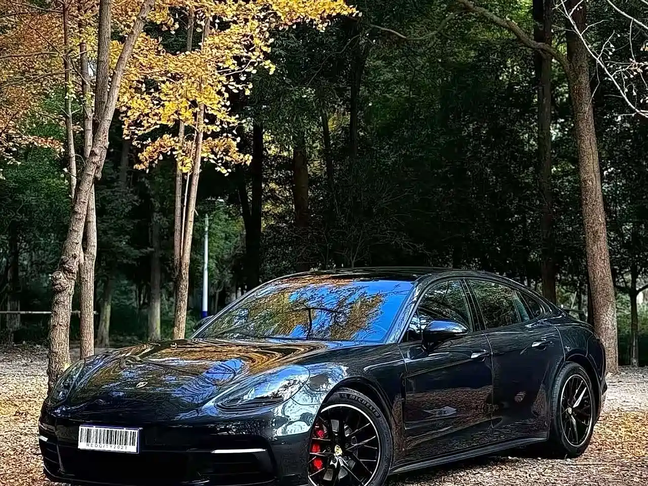 Porsche Panamera 2017 Panamera 3.0T