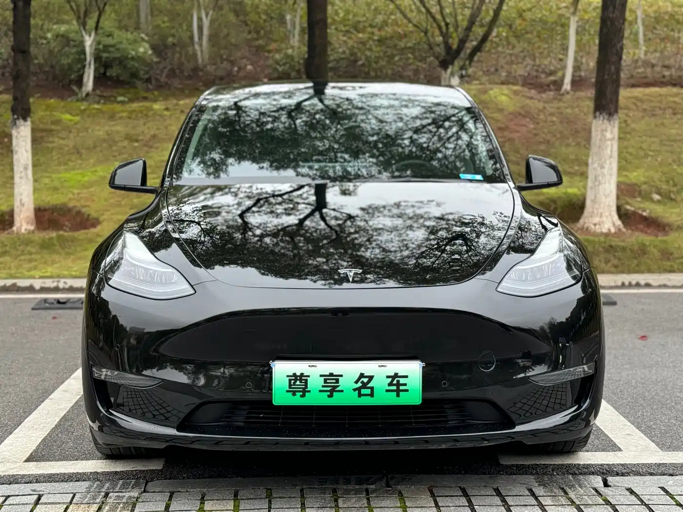 TESLA MODEL Y