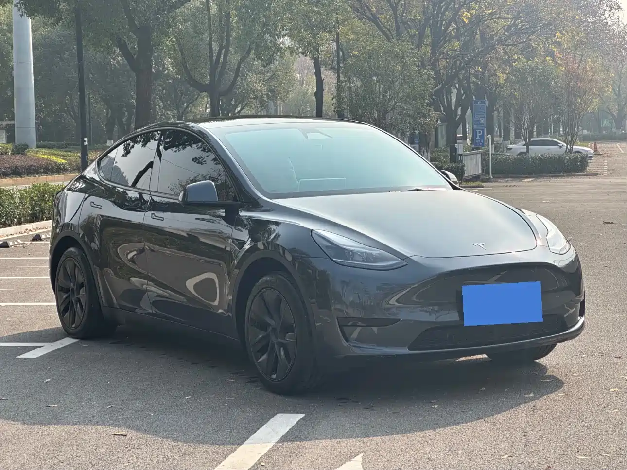 TESLA MODEL Y