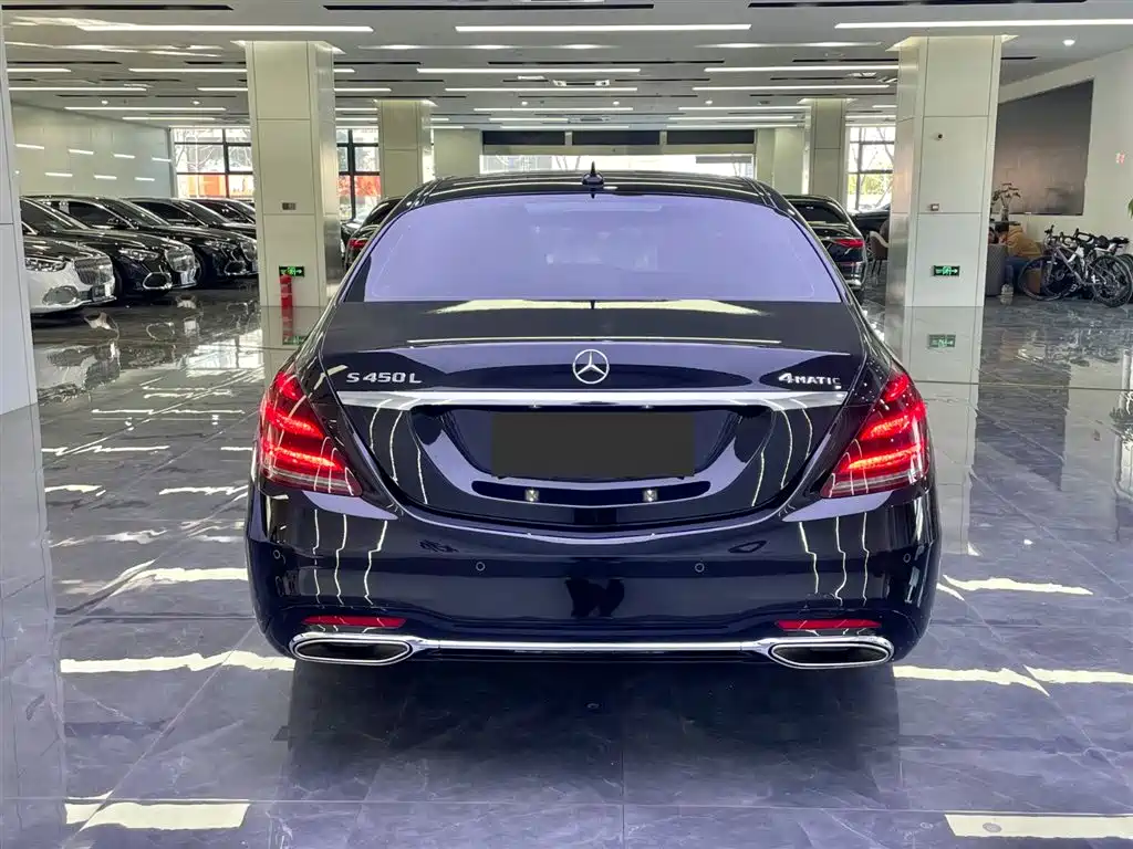 Mercedes-Benz S-Class 2019 S 450 L 4MATIC фото 3