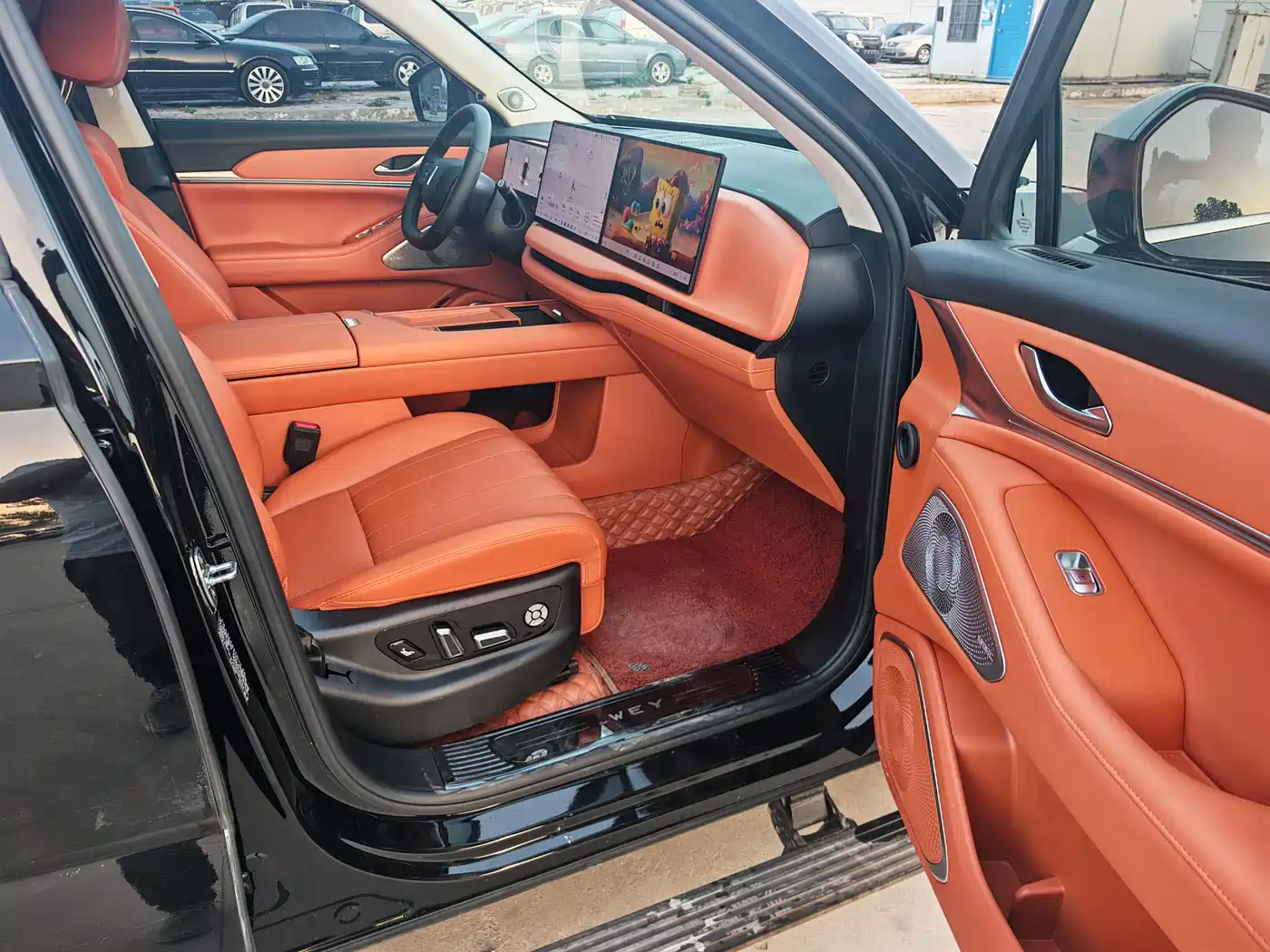 WEI PAI WEI BRAND BLUE MOUNTAIN