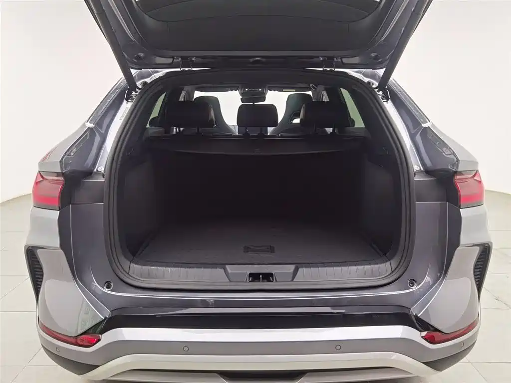 BYD SONGJIANG NEW ENERGY