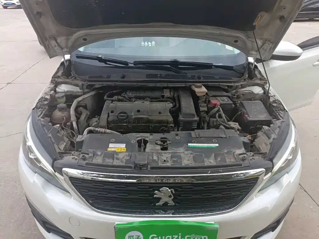 صورة 20 - Peugeot 308