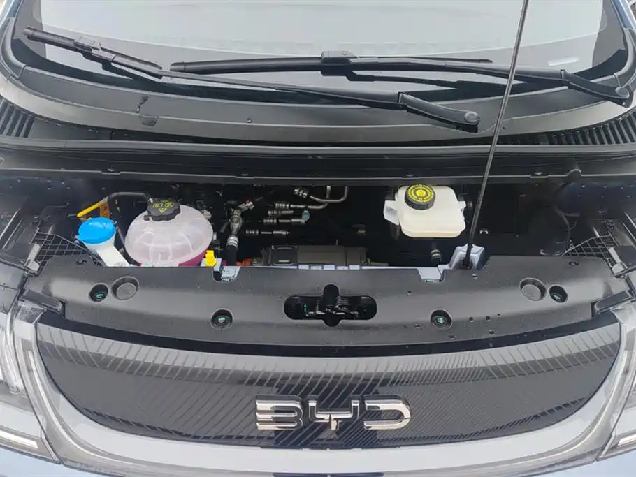 BYD Dolphin 2025 420km Fashion Edition фото 10