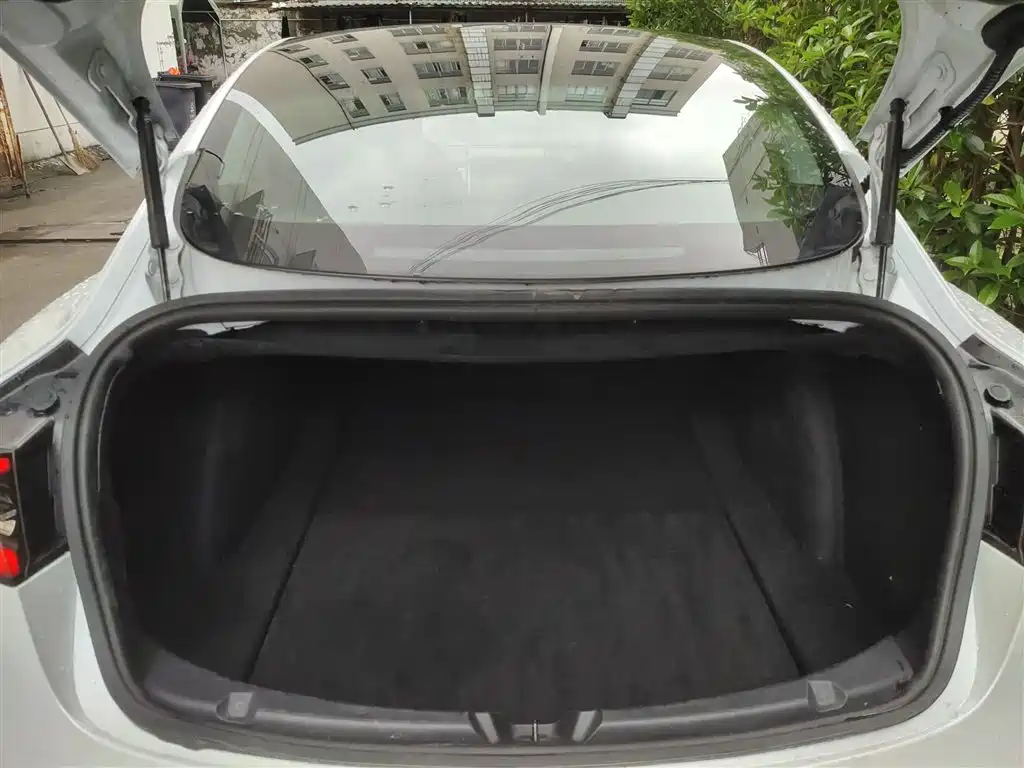 TESLA MODEL 3 (IMPORTED)