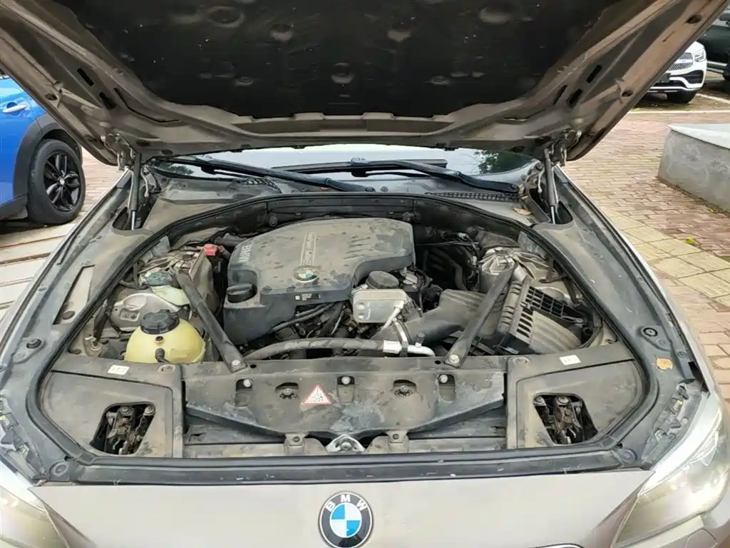 BMW 5 Series 2014 525Li Leading фото 20
