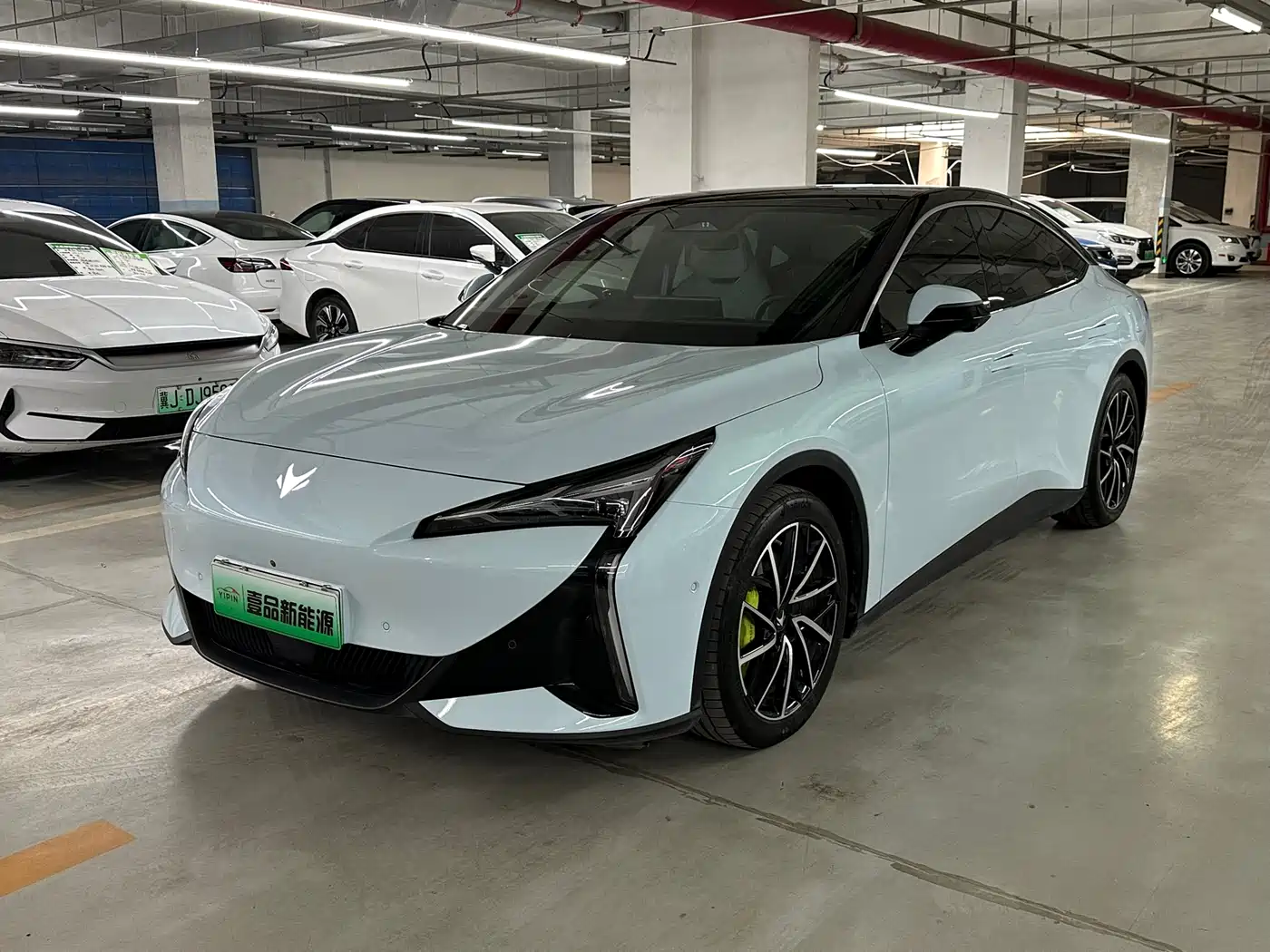 ARCFOX EXTREME FOX POLAR FOX ALPHA S5