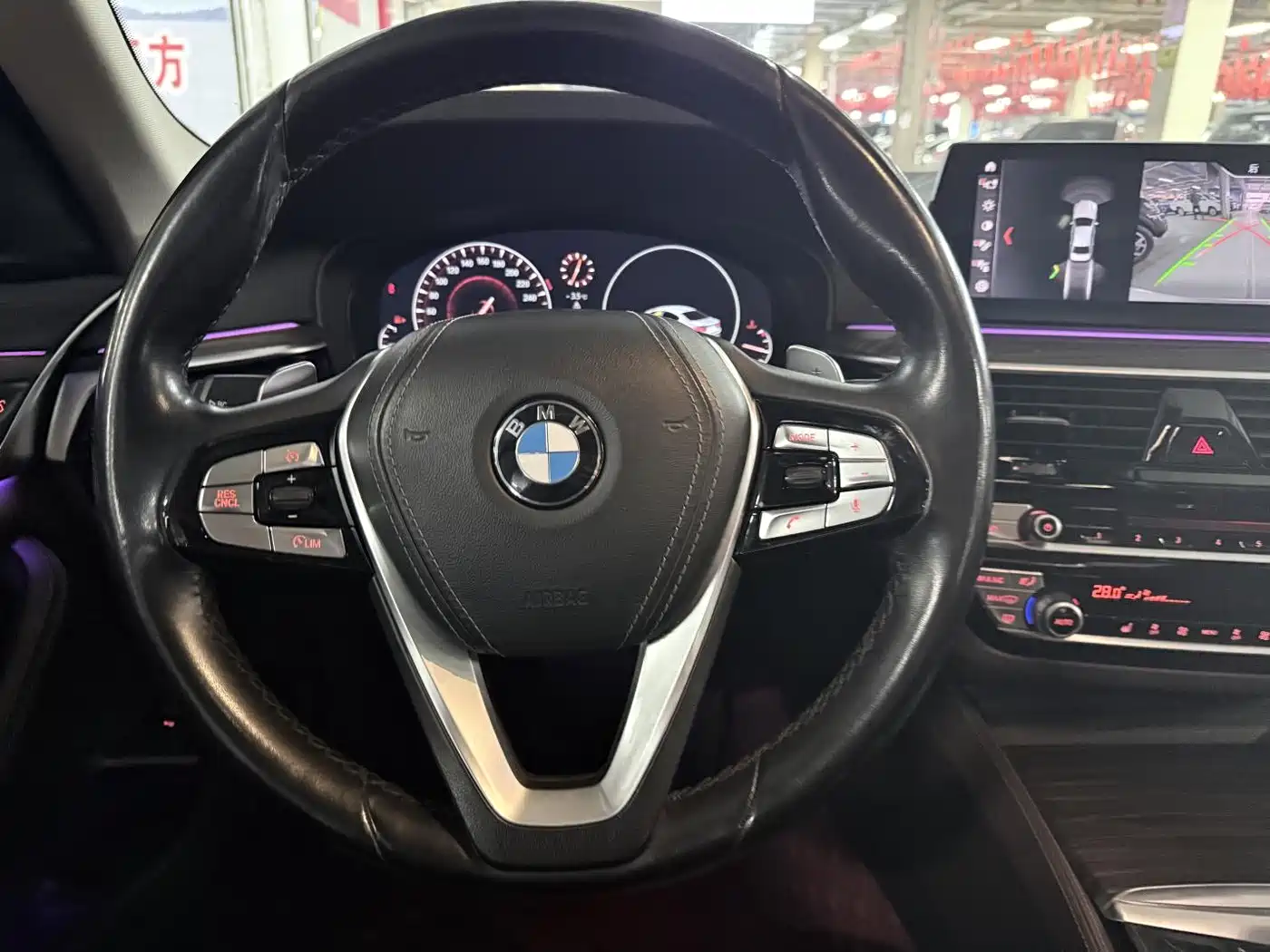 BMW 5 Series 2019 530Li Leading Luxury Package фото 13