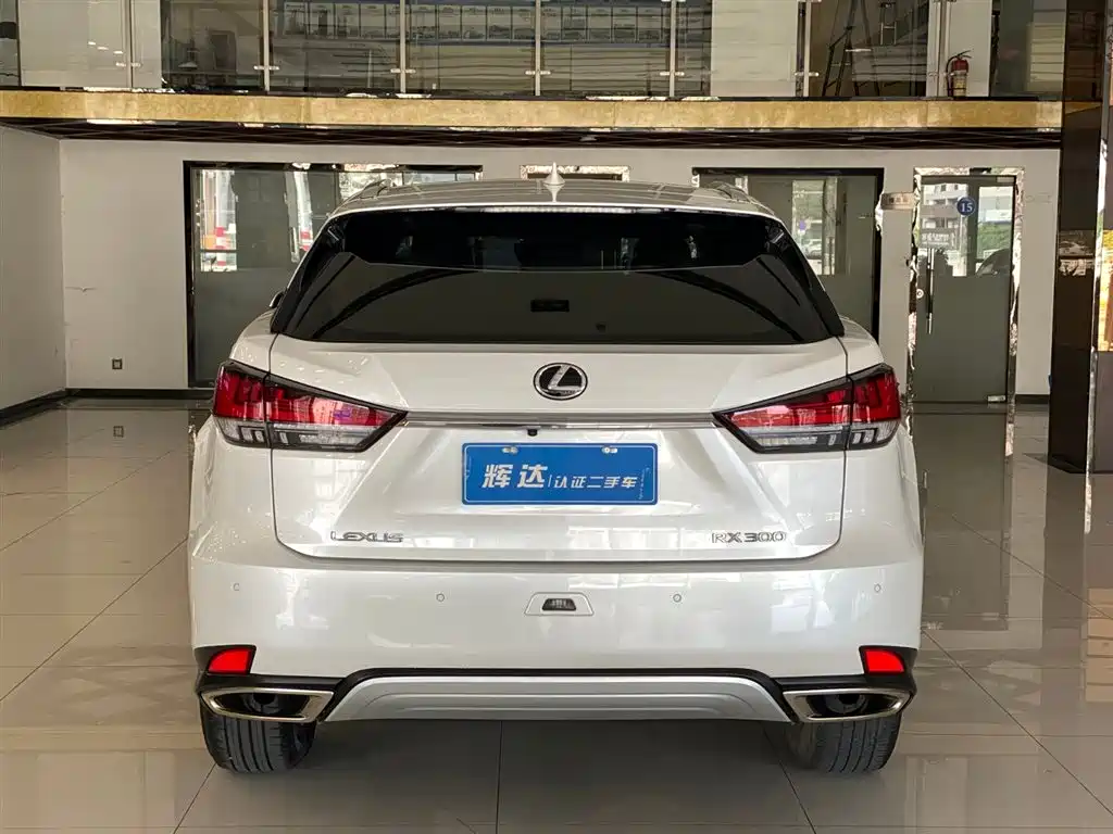 Lexus RX 2020 Facelift 300 2WD Elite Edition фото 6