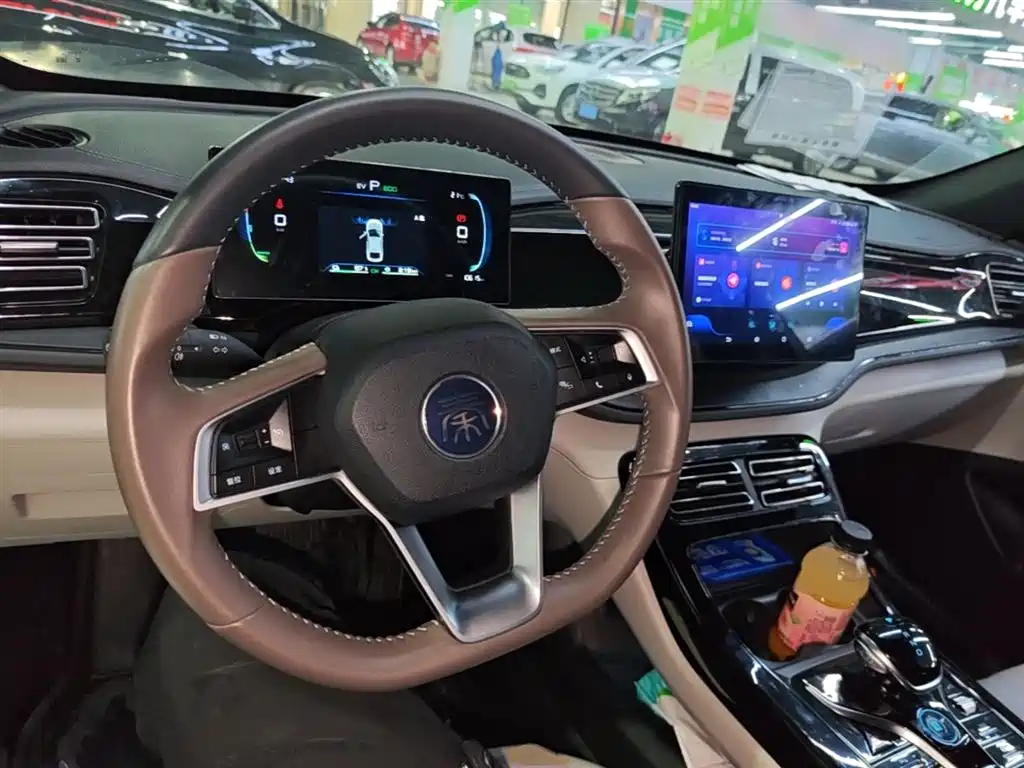 BYD Qin PLUS 2023 Champion Edition DM-i 55KM Leading фото 9