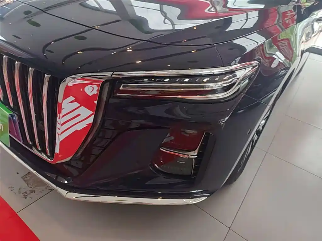Hongqi H5 2024 2.0T Automatic Smart Connect Flag Leader Edition фото 24
