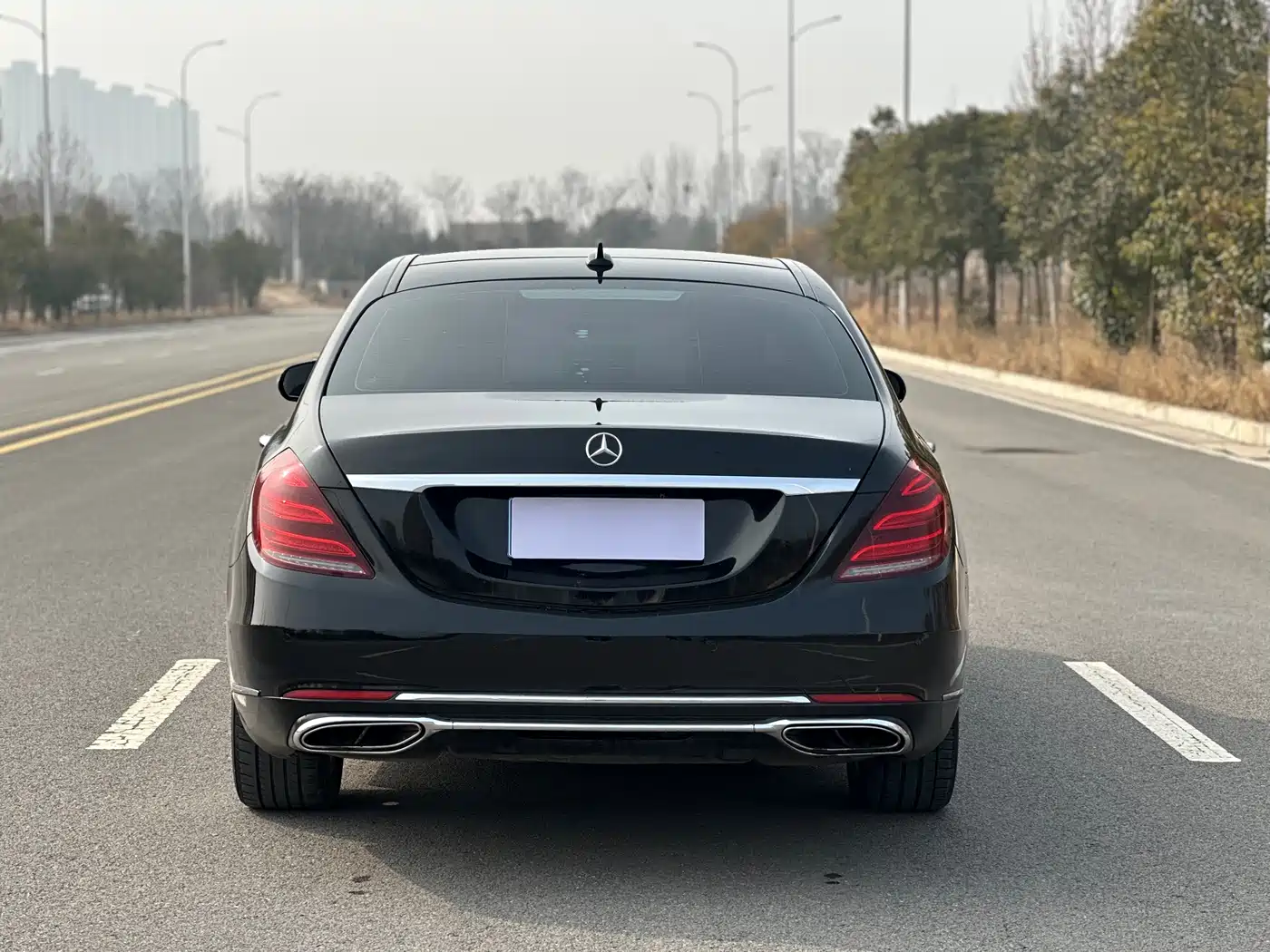 Mercedes-Benz S-Class 2014 S 320 L Business фото 8