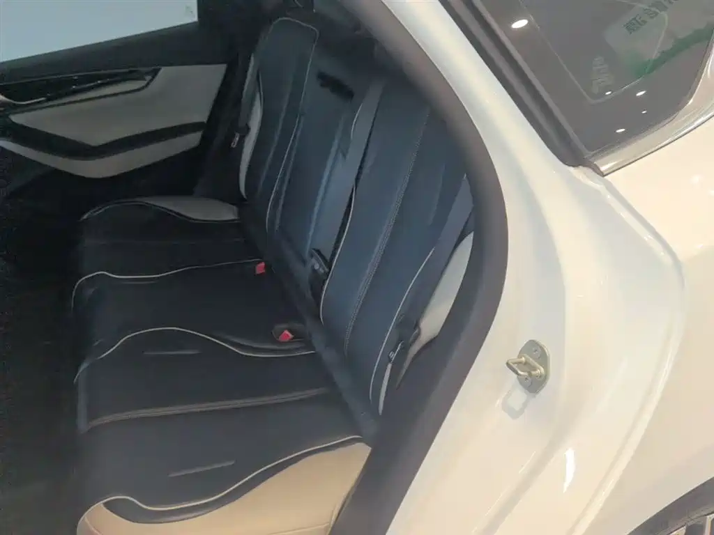 BYD Qin PLUS 2021 EV 400KM Luxury Model фото 17