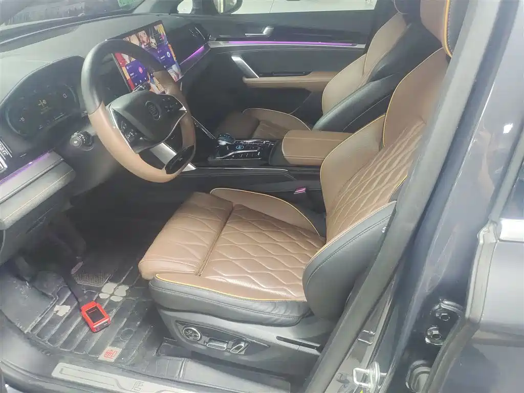 BYD Tang New Energy 2021 DM-i 112KM Premium фото 15