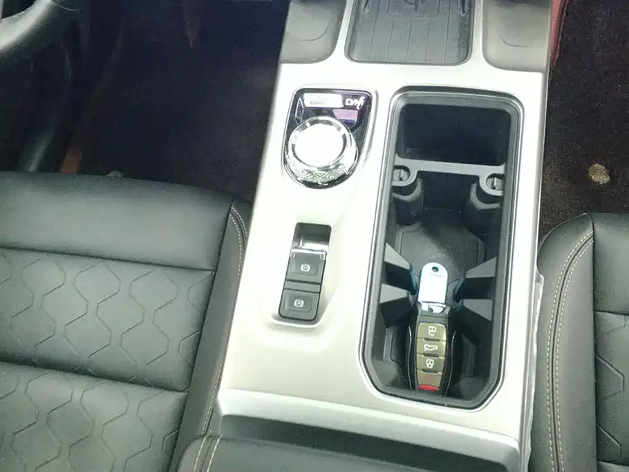 Haval Big Dog 2024 1.5T DCT Border Collie Edition фото 16