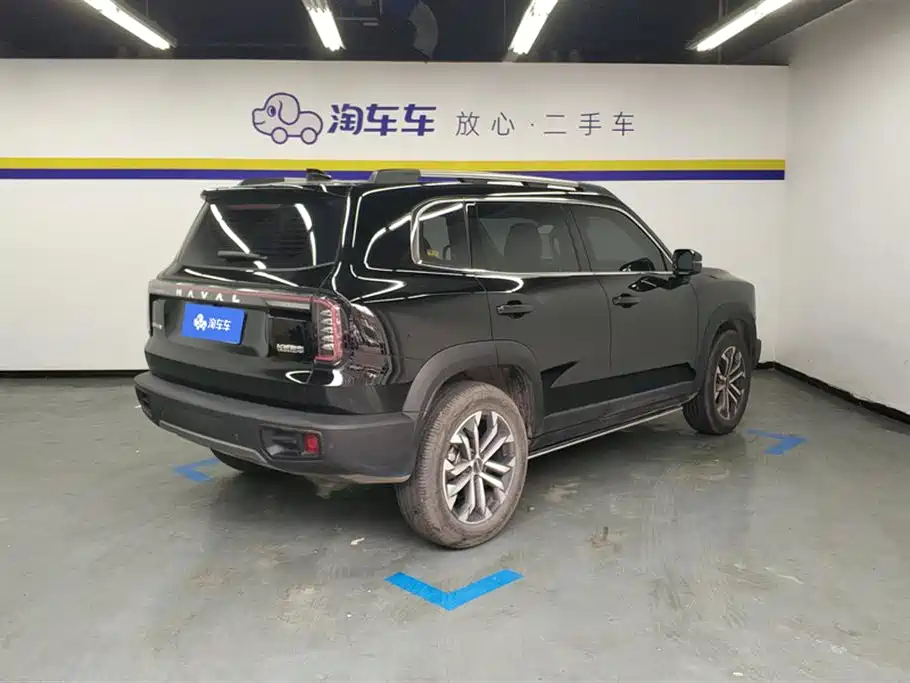 Haval Big Dog 2024 1.5T DCT Border Collie Edition фото 3
