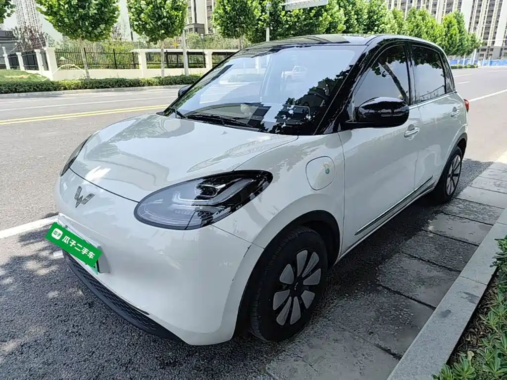 Wuling Motors Wuling Bingo 2024 333km Comfort Edition