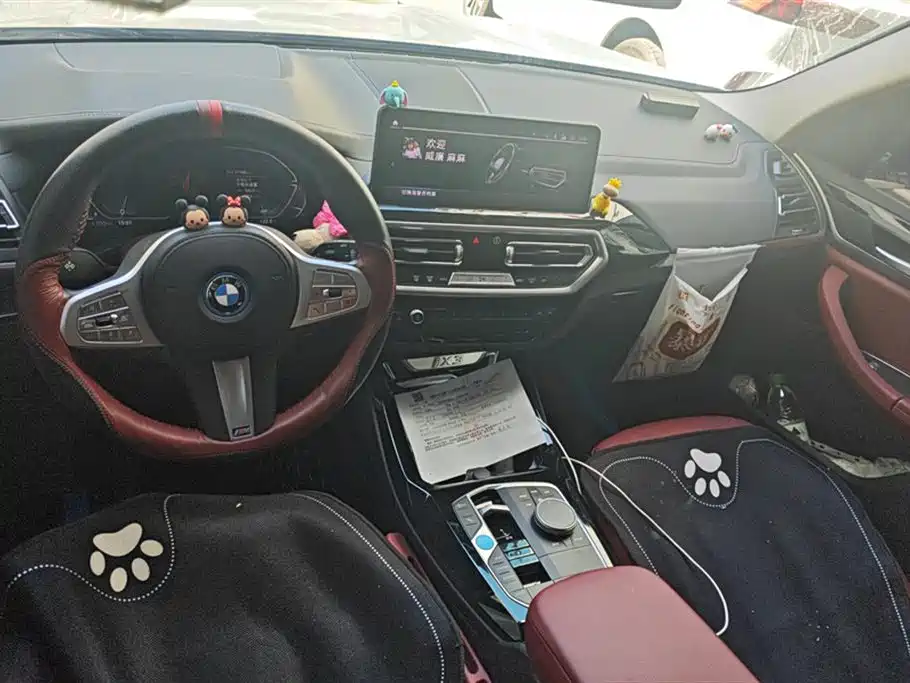 BMW IX3