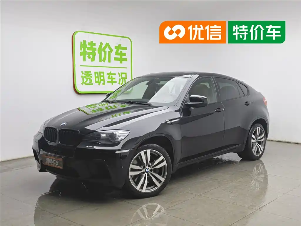 BMW X6 M 2010 X6 M