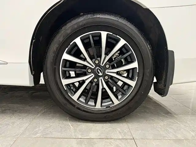 GAC Trumpchi Trumpchi M8 2024 Leadershow Series 390T Luxury Edition фото 18