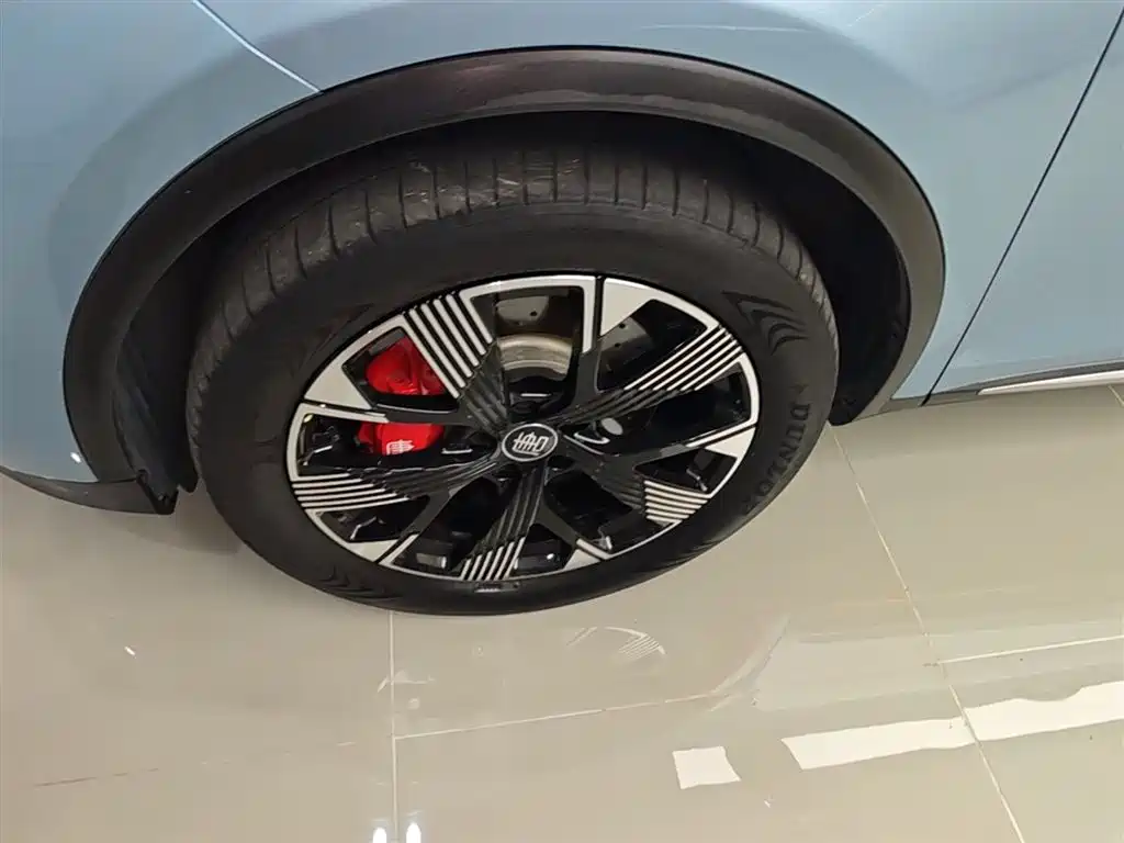 BYD Tang New Energy 2024 DM-p Champion Edition 215KM AWD Flagship фото 23